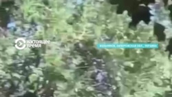 Из-за атаки российских военных на Вольнянск Запорожской области погибли семь человек, еще 38 пострадали