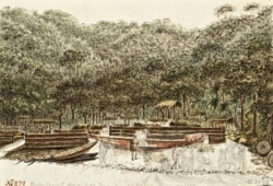 Берег одного из островов