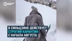 В китайском Синьцзяне под снегом массово гибнет скот – из-за введенных властями ковидных ограничений 