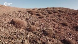 Tales From The New Silk Road