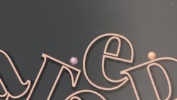 Реальный разговор: Курская область. На охоту вышли мародеры
