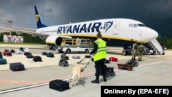 Belarusian security with a sniffer dog check the luggage of passengers in front of Ryanair's flight FR4978, which carried opposition figure Raman Pratasevich to Minsk on May 23, 2021.