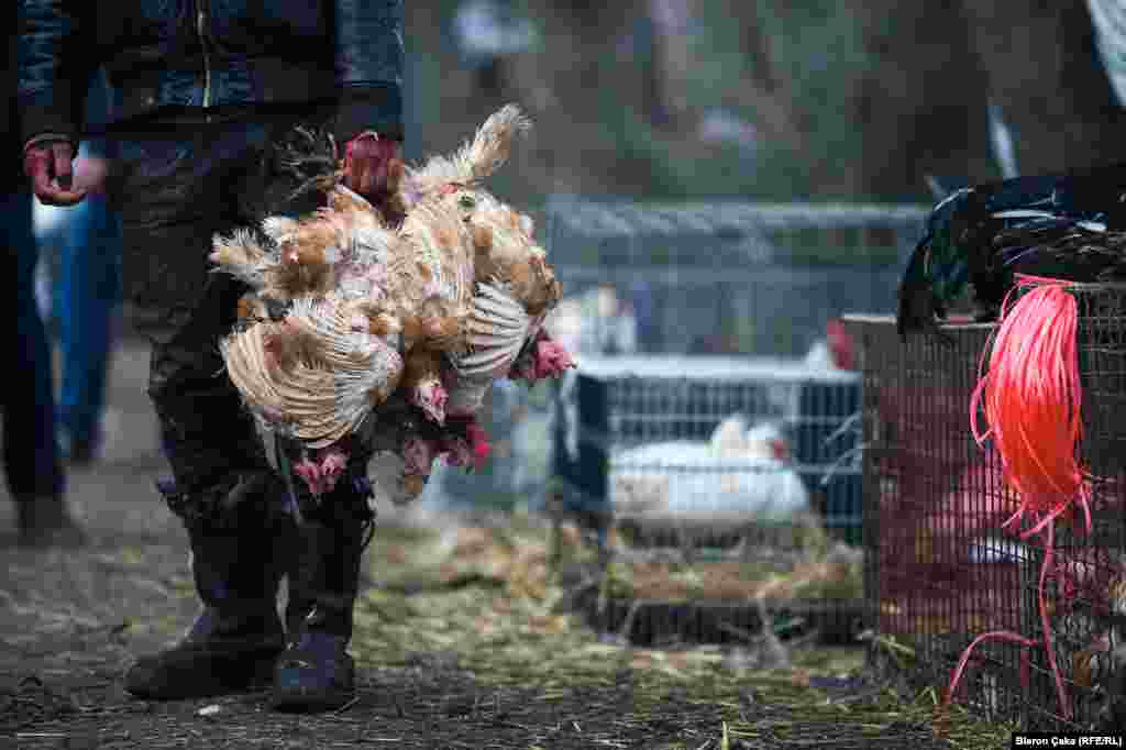 На курином рынке в городе Вучитрн было особенно оживленно. Фото &ndash; Блерон Чака