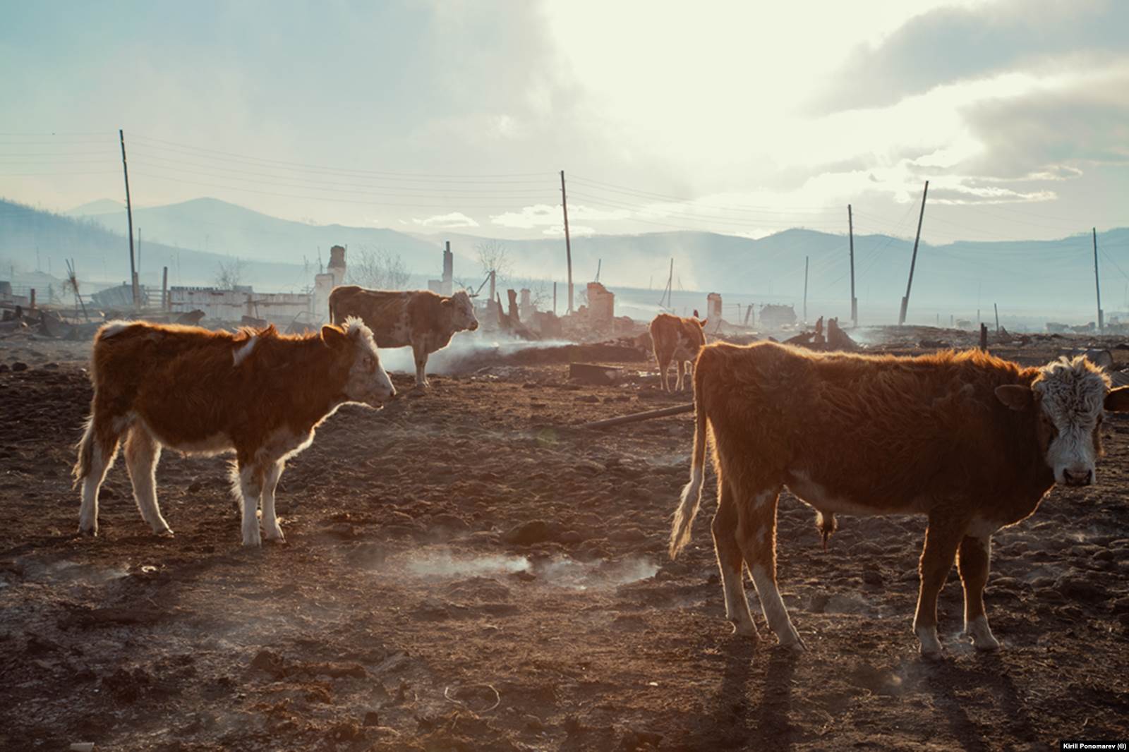 Село Шара Александрово-Заводского района Забайкальского края. Фото: Кирилл Пономарев