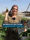 Семья фермеров из Австралии обосновалась в Таджикистане: держат скот, делают сыр и внедряют новые технологии