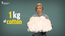 5 Cents Per Kilo: Why Uzbekistan Still Forces People To Pick Cotton