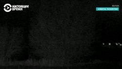 Снежный барс гуляет по парку в черте Алматы