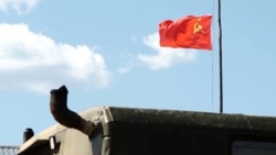 Dyatlov Pass Mystery: 1959 Deaths In Russia Still Spark Speculation And Tourism